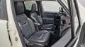 Jeep Renegade Limited 4WD - Pano / AHK / Beats Sound Wit - thumbnail 5