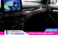 Ford Focus 1.0 MHEV Hybrid ST-Line 125cv 5P S/S # IVA DEDUCIB - thumbnail 14