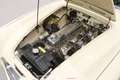 Austin-Healey 100 /6 BN6 + Overdrive - Fully Restored  - Blanco - thumbnail 27