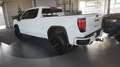 GMC Sierra AT4  6.2L V8 Crew Cab*Leder*Navi*AHK* Wit - thumbnail 6