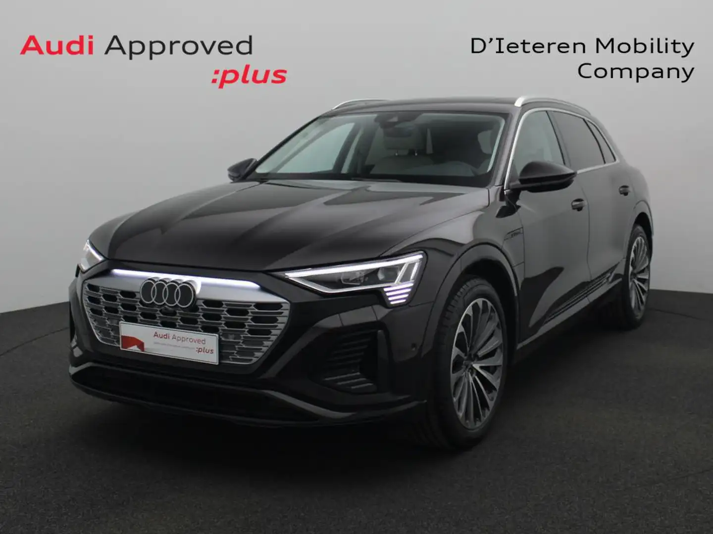 Audi Q8 e-tron Audi Q8 Corporate S 55 e-tron quattro 300,00 kW Brown - 1