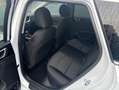 Kia Ceed SW / cee'd SW 1.5T 48V DCT 140 ULTIMATE STY Weiß - thumbnail 9