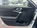 Kia Ceed SW / cee'd SW 1.5T 48V DCT 140 ULTIMATE STY Weiß - thumbnail 18