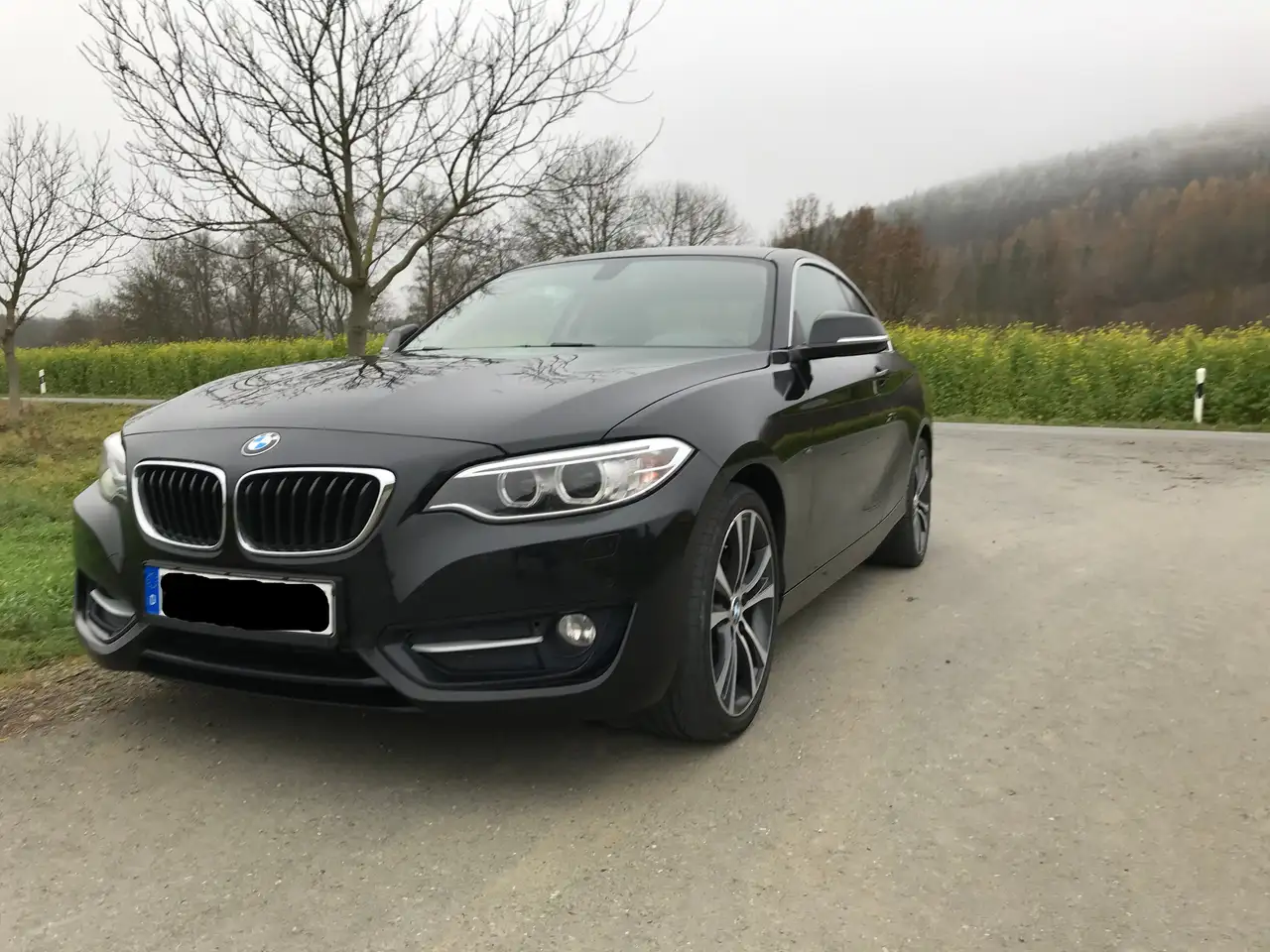BMW 225