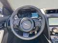 Jaguar F-Type Cabrio P450  R-Dynamic Black Pack  AWD Klima Paket Blau - thumbnail 12