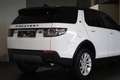 Land Rover Discovery Sport Discovery Sport D150 BTW* DodeH Pano Garantie* Weiß - thumbnail 5