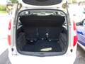 Skoda Roomster Basis/Euro 4 Weiß - thumbnail 13