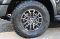 Ford Ranger Raptor e-4WD,Raptor+Techno73 Paket, Rollo el.AHK Schwarz - thumbnail 26