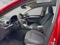 SEAT Leon FR 2.0 TDI DSG LED -Pano - Infotain Rot - thumbnail 11