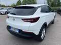 Opel Grandland X X 1.5 diesel Ecotec Start&Stop aut. Business Ed. Bianco - thumbnail 4