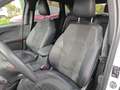 Ford Kuga ST-Line PHEV AUT Blanco - thumbnail 9