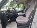 Hannes Camper Hannes Camper Van 60 FIAT Automatik Grau - thumbnail 9