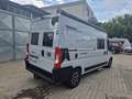 Hannes Camper Hannes Camper Van 60 FIAT Automatik Grau - thumbnail 3