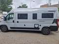 Hannes Camper Hannes Camper Van 60 FIAT Automatik Grau - thumbnail 6
