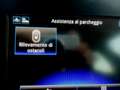 Renault Megane Megane Sporter 1.5 blue dci Business 115cv+Navi Blanc - thumbnail 13