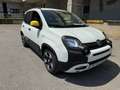 Fiat Panda Pandina 1.0 firefly hybrid s Bianco - thumbnail 1