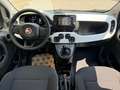 Fiat Panda Pandina 1.0 firefly hybrid s Bianco - thumbnail 7