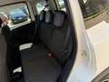 Fiat Panda Pandina 1.0 firefly hybrid s Bianco - thumbnail 6
