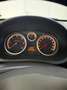 Opel Corsa Corsa IV 2006 5p 1.3 cdti ecoflex Cosmo 75cv Argent - thumbnail 8