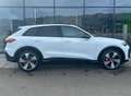 Audi SQ5 3.0TFSI Quattro Edition Plus /Tetto/B&O/Head-up Weiß - thumbnail 5