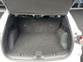 Ford Kuga 2.5 PHEV Plug-In Hybrid ST-Line X Weiß - thumbnail 19