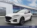 Ford Kuga 2.5 PHEV Plug-In Hybrid ST-Line X Weiß - thumbnail 1