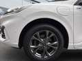 Ford Kuga 2.5 PHEV Plug-In Hybrid ST-Line X Weiß - thumbnail 9