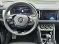 Skoda Kodiaq Tour 2,0 TDI 110 kW DSG Navi Digitales Cockpit LED Grigio - thumbnail 5
