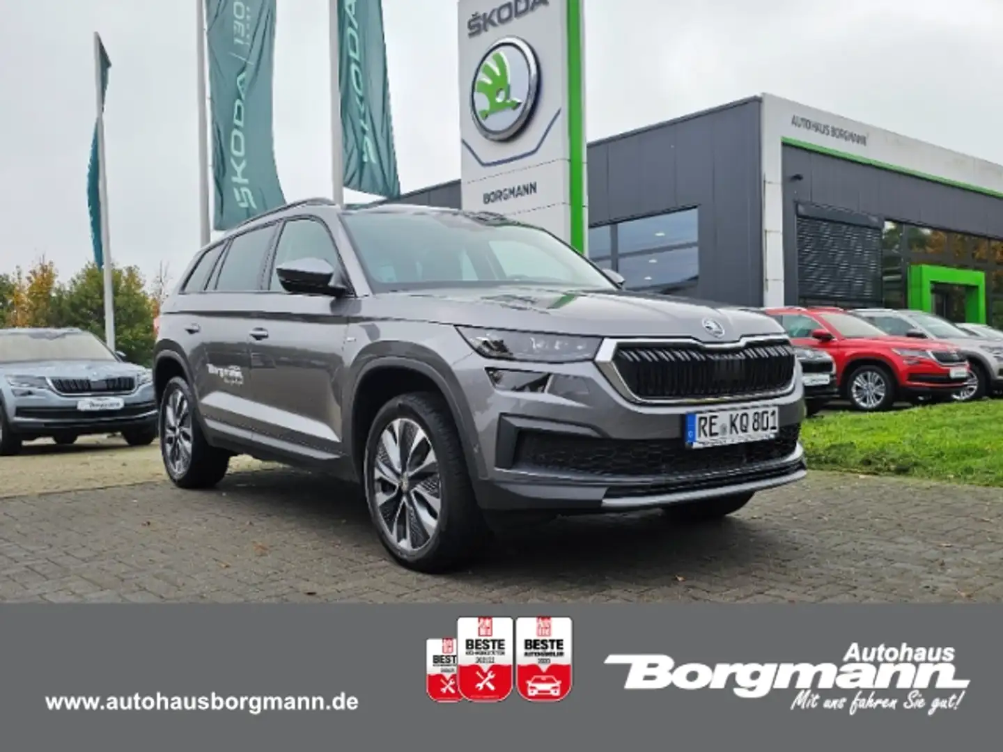 Skoda Kodiaq Tour 2,0 TDI 110 kW DSG Navi Digitales Cockpit LED Grigio - 1