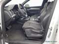 Audi Q5 SB 40 TDI qu. S line/Matrix/Kamera/AHK/Pano Weiß - thumbnail 4