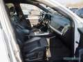 Audi Q5 SB 40 TDI qu. S line/Matrix/Kamera/AHK/Pano Blanc - thumbnail 6