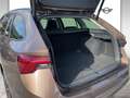 Skoda Octavia Octavia 2,0 TDI Braun - thumbnail 12
