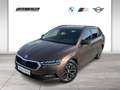 Skoda Octavia Octavia 2,0 TDI Braun - thumbnail 1