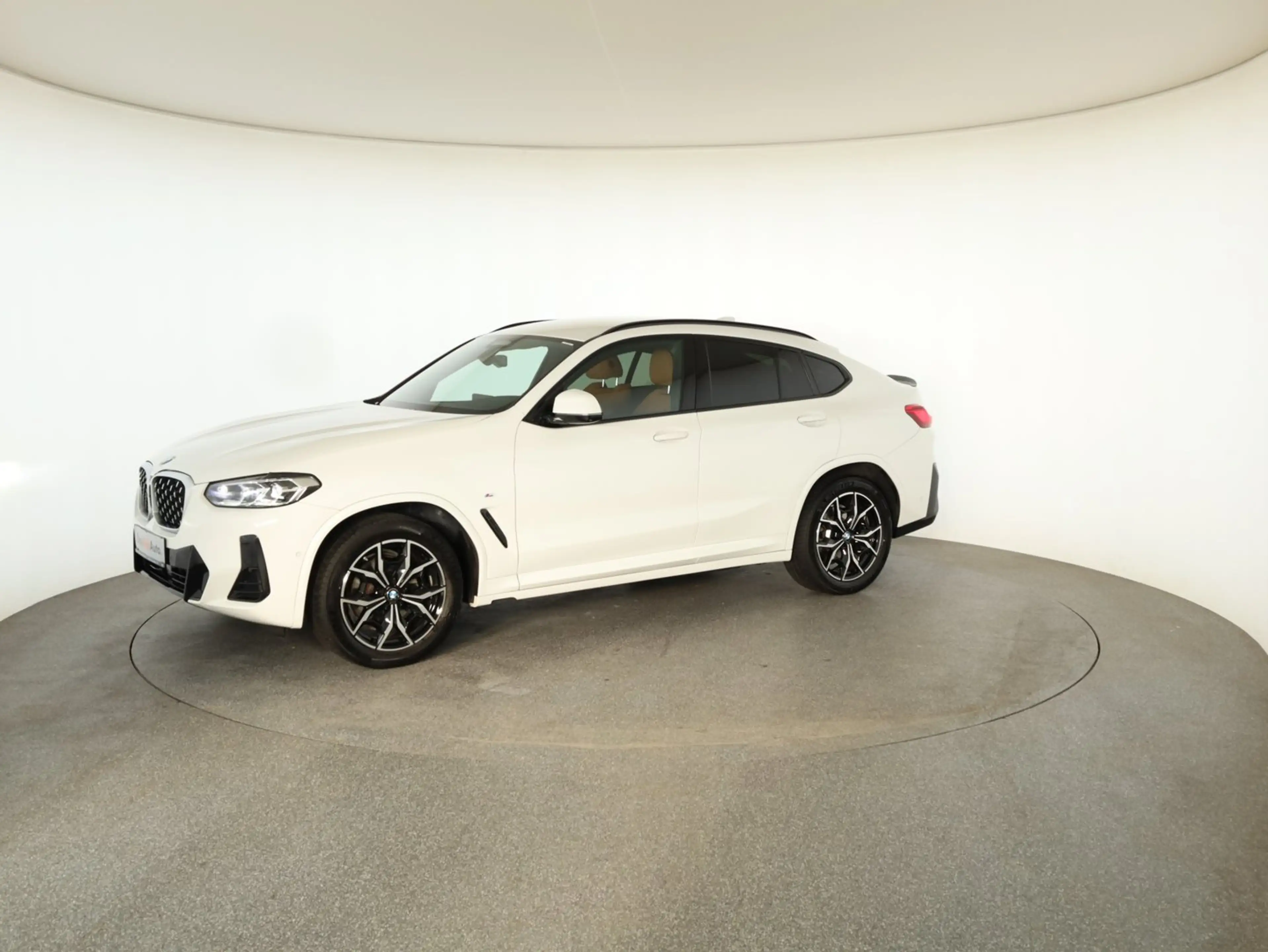 BMW X4 xDrive 20 d Advantage — photo 8