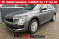 Skoda Kamiq 1.0 TSI 115PS DSG Selection Matrix-LED Sitzheizung Grau - thumbnail 1