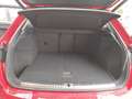 Audi Q3 Q3 35 2.0D Sline edition s-tronic-PROMO Rosso - thumbnail 12