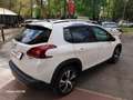 Peugeot 2008 1.2 PureTech Turbo Allure Automatica Blanc - thumbnail 5