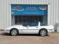 Chevrolet Corvette Coupe 1990, V8 5.7L 250cv. - thumbnail 7