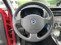 Fiat Panda 1.2 8V Dynamic Klima Rot - thumbnail 10