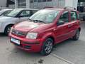 Fiat Panda 1.2 8V Dynamic Klima Rot - thumbnail 3