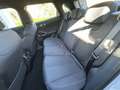 BYD Atto 2 Atto2 DM-i PHEV 7,8kWh Active Weiß - thumbnail 20