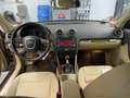 Audi A3 1.6 FSI Ambiente/1.Hand/Scheckheft/Tempomat/Alu Beige - thumbnail 5