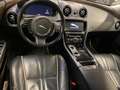 Jaguar XJ 3.0 D V6 NAVI / PANODAK / XENON Gris - thumbnail 14