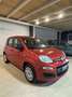Fiat Panda III 0.9 t.air Easy 85cv E6 *AUTOMATICO* Arancione - thumbnail 6