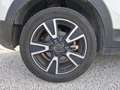 Fiat 500X 1.6 E-Torq 110 4x2 BVM5 Live Edizione Blanc - thumbnail 17