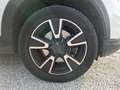 Fiat 500X 1.6 E-Torq 110 4x2 BVM5 Live Edizione Blanc - thumbnail 16