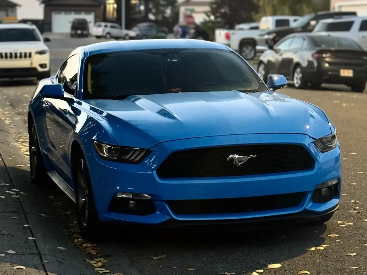 Ford Mustang снимка Ford Mustang