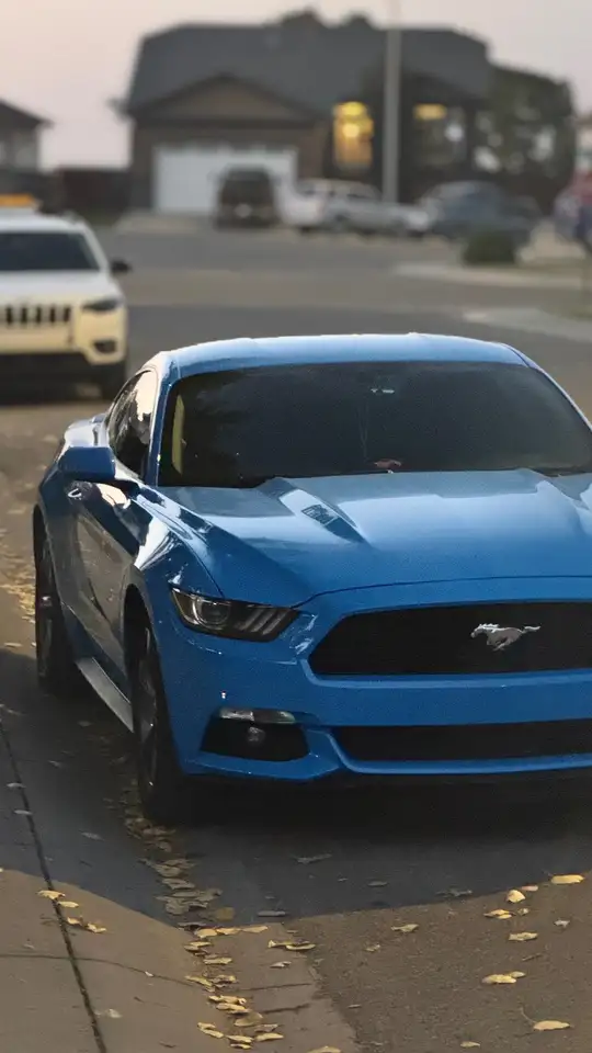 Ford Mustang снимка Ford Mustang
