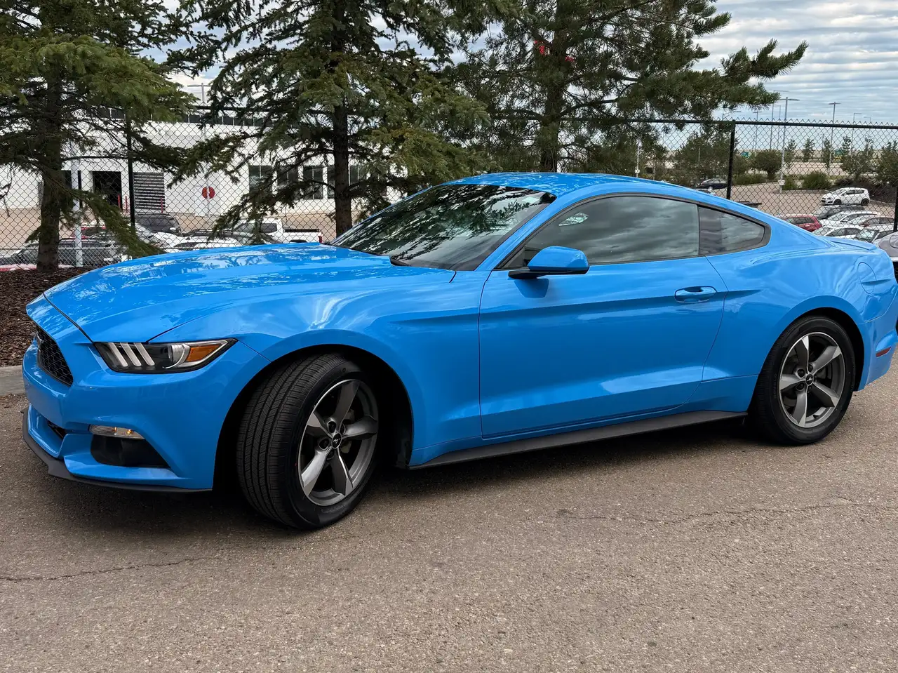 Ford Mustang снимка Ford Mustang