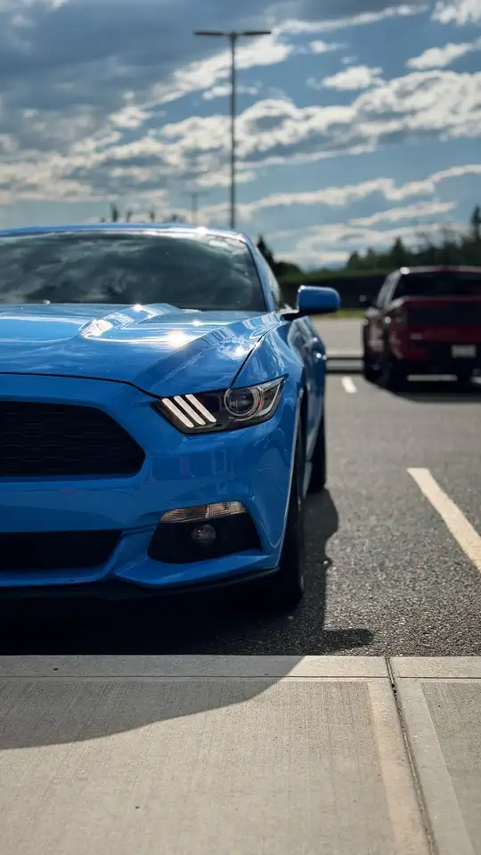 Ford Mustang снимка Ford Mustang